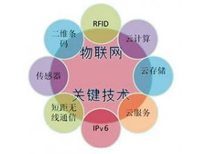 賽億科技 驅(qū)動(dòng)萬物互聯(lián)，網(wǎng)絡(luò)技術(shù)賦能智慧未來